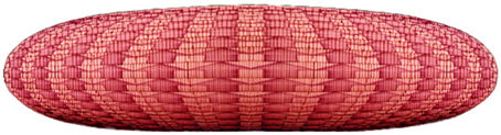 coloration trame